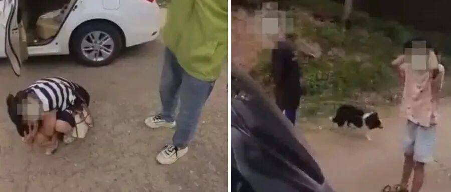 深圳一市民突遭马蜂围袭！已进入高发期<strong></p>
<p>抹茶交易所杠杆代币</strong>，千万别招惹！