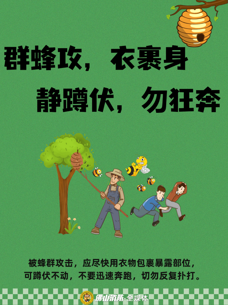 深圳一市民突遭马蜂围袭！已进入高发期<strong></p>
<p>抹茶交易所杠杆代币</strong>，千万别招惹！