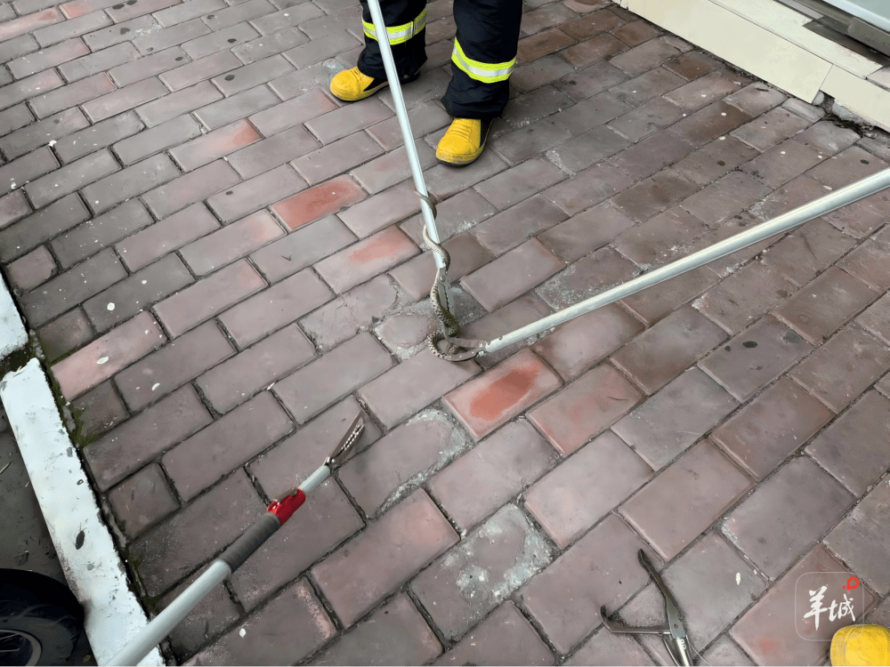 广州一小区蛇患频发：已抓超60条但未探测到蛇窝位置<strong></p>
<p>抹茶交易所哪个最好</strong>，多方介入