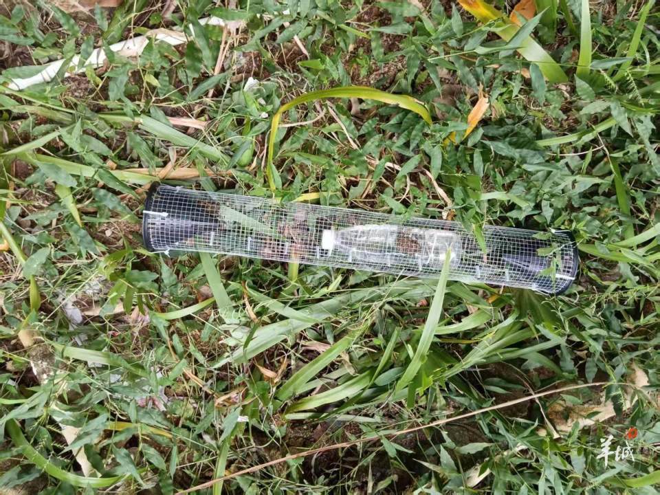 广州一小区蛇患频发：已抓超60条但未探测到蛇窝位置<strong></p>
<p>抹茶交易所哪个最好</strong>，多方介入