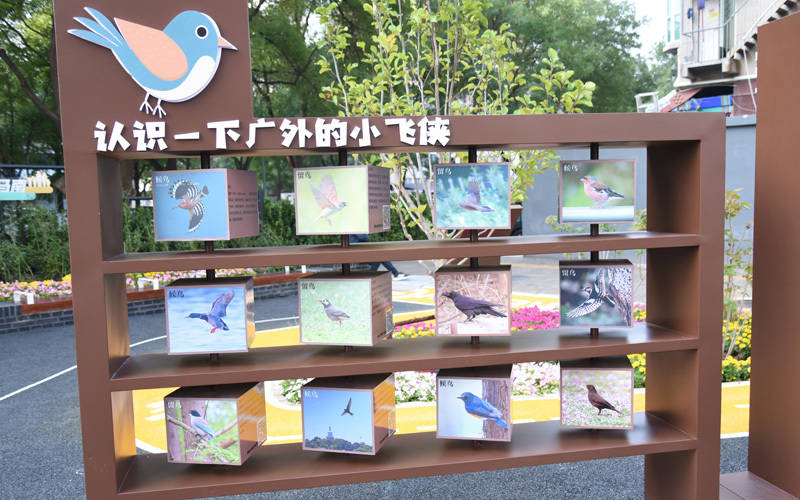 西城区广外街道:“断头路”变身口袋公园<strong></p>
<p>国内三大交易所</strong>,装满民生“微幸福”