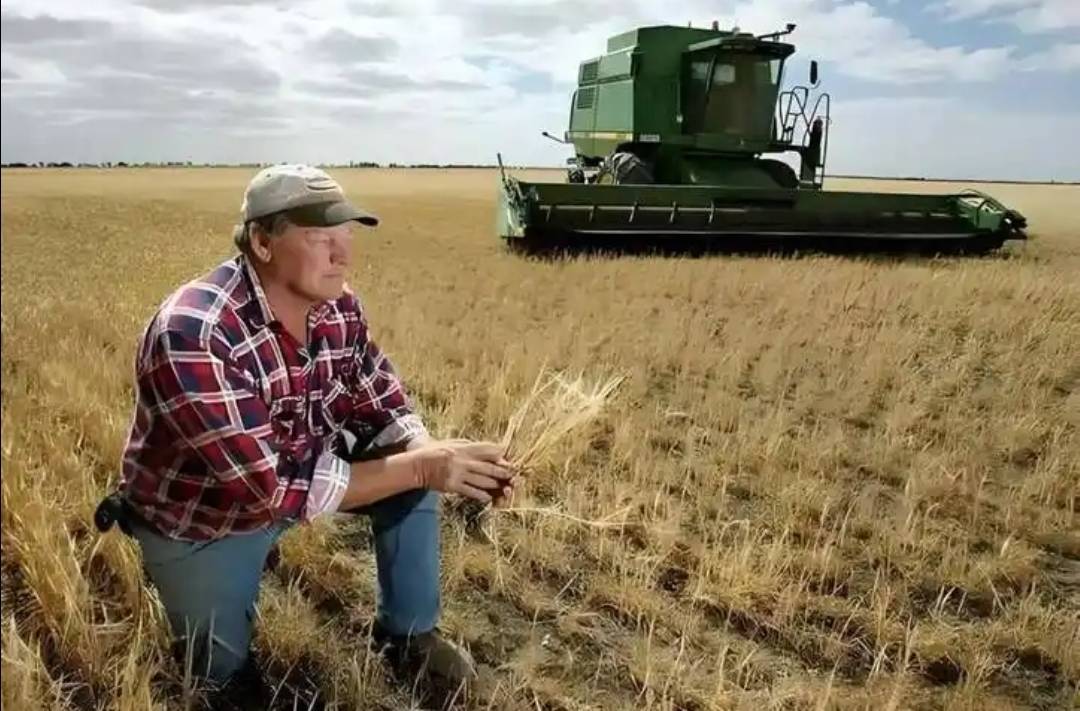 稀土卡脖子<strong></p>
<p>海外版下载链接</strong>，美方军工企业停摆！美财长喊话：开出取消关税的条件，美农户输惨了