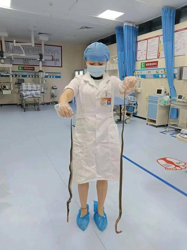 广东62岁阿叔网鱼网到2条眼镜蛇<strong></p>
<p>海外版下载链接</strong>，被咬伤后当场打死，并打包提进医院