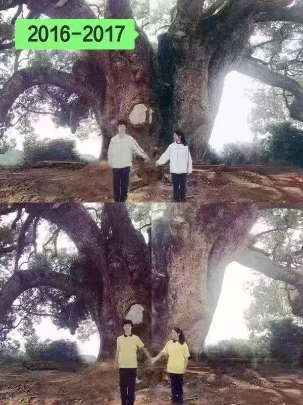 岳阳情侣连续9年在家乡千年古樟树下合影<strong></p>
<p>抹茶交易所怎么转成人民币</strong>，今年国庆终修正果：希望爱情像古树一样长久