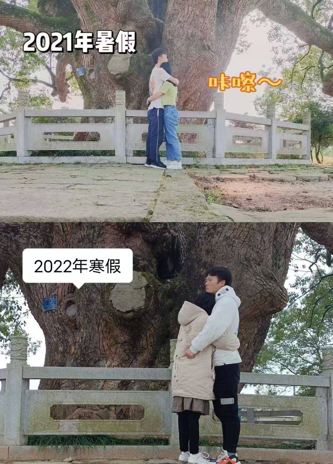 岳阳情侣连续9年在家乡千年古樟树下合影<strong></p>
<p>抹茶交易所怎么转成人民币</strong>，今年国庆终修正果：希望爱情像古树一样长久