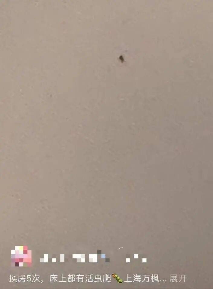 “连换5间房<strong></p>
<p>抹茶交易所怎么转成人民币</strong>,每间床上都有活虫!”上海新开高档酒店回应