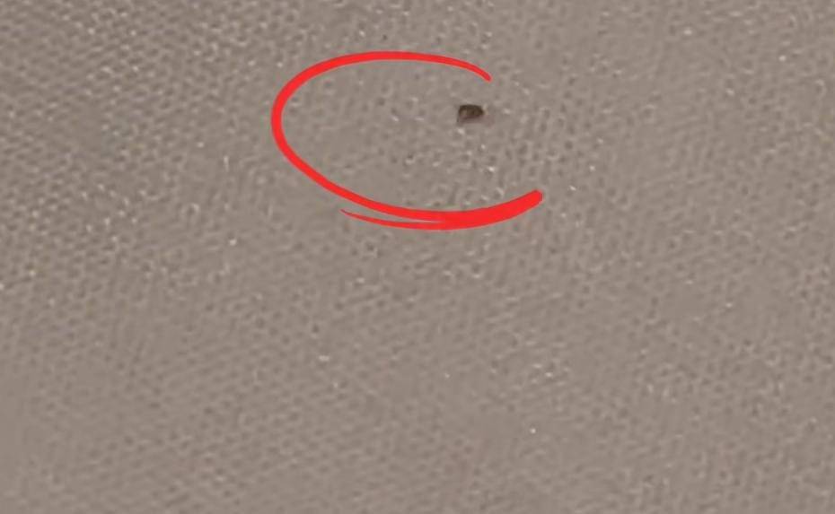 “连换5间房<strong></p>
<p>抹茶交易所怎么转成人民币</strong>,每间床上都有活虫!”上海新开高档酒店回应