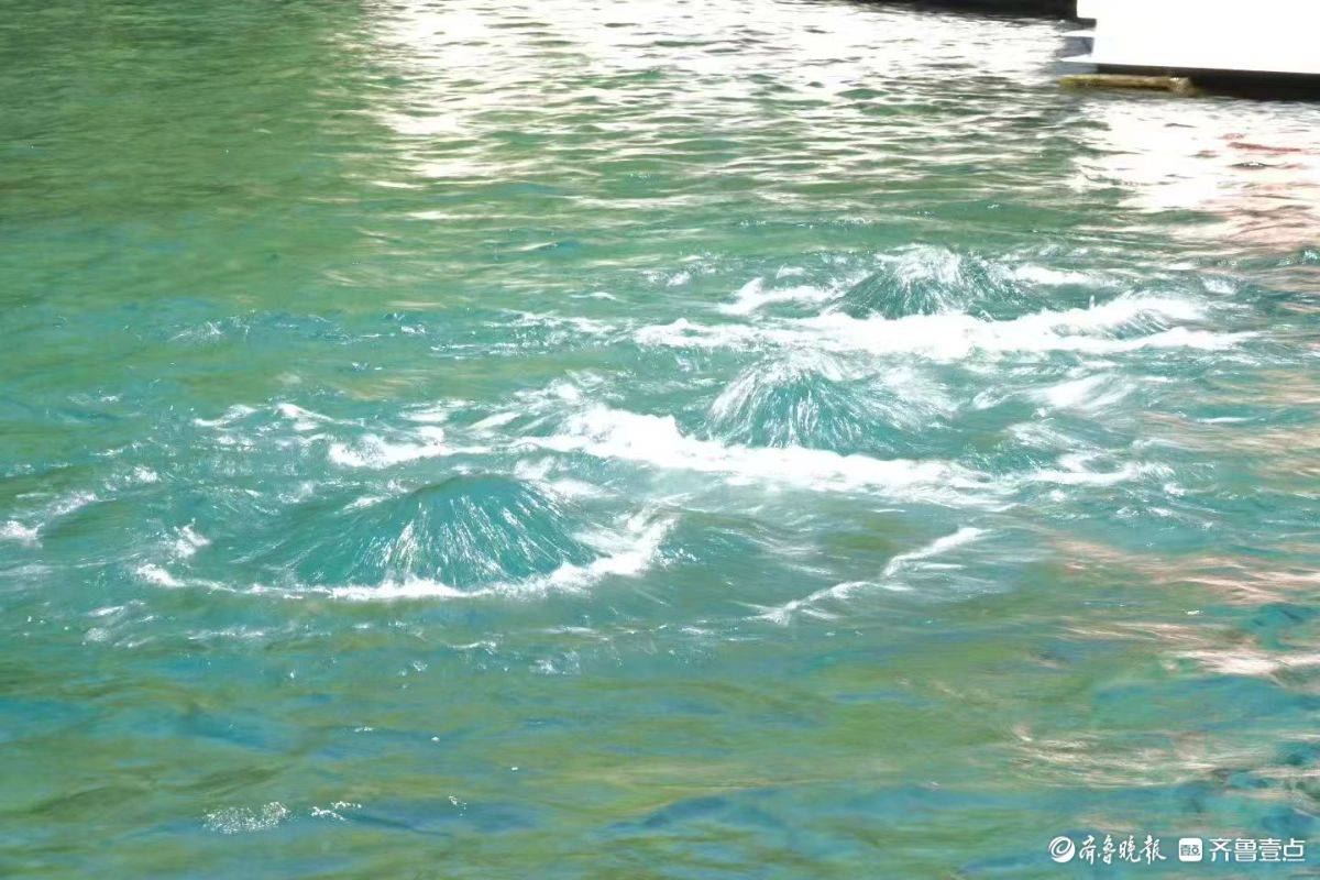 趵突腾空<strong></p>
<p>抹茶交易所怎么转成人民币</strong>，众泉涌流