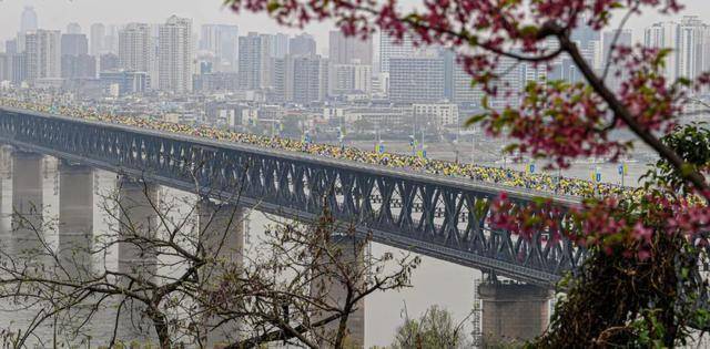 今天是她68岁生日<strong></p>
<p>抹茶交易所怎么转成人民币</strong>,武汉人:不准退休!