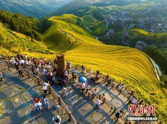 金秋<strong></p>
<p>注册邀请码</strong>,广西的梯田一点不输!