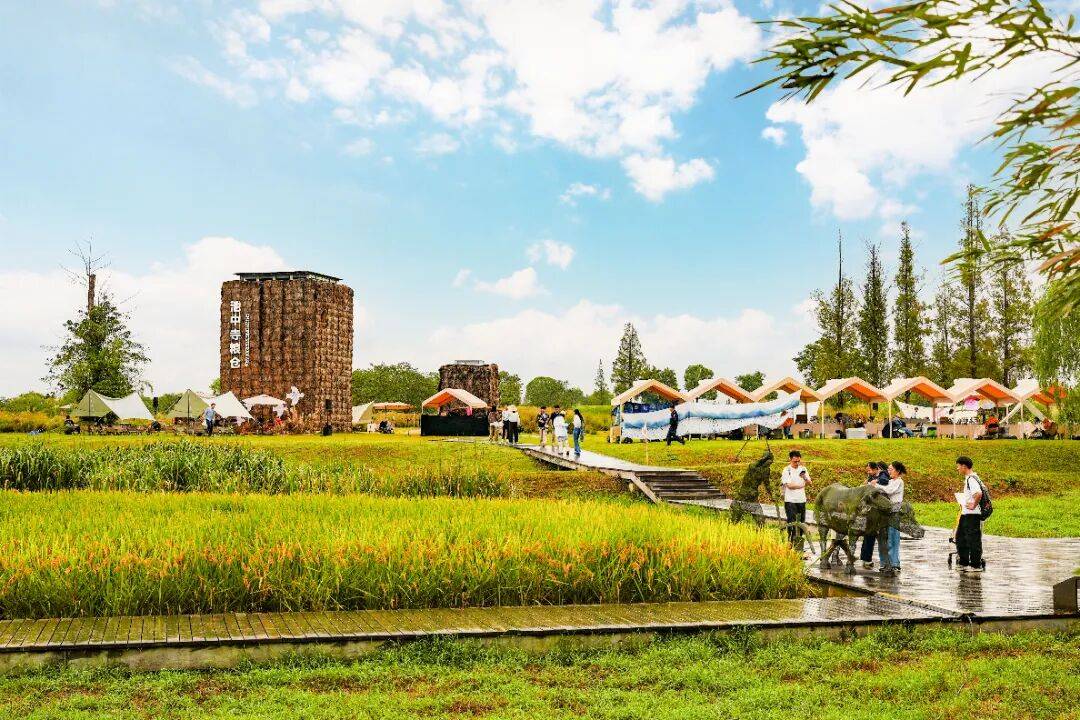 良渚遇“稻”<strong></p>
<p>注册邀请码</strong>你 ｜ 秋季活动正当时