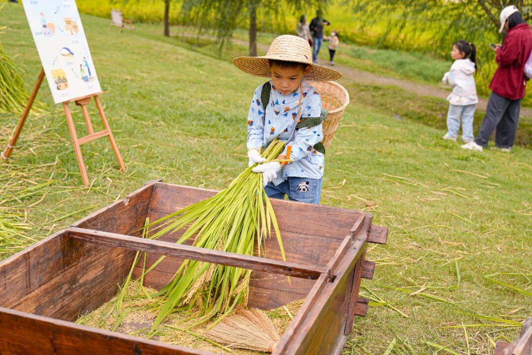 良渚遇“稻”<strong></p>
<p>注册邀请码</strong>你 ｜ 秋季活动正当时
