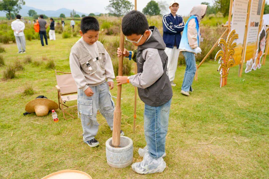 良渚遇“稻”<strong></p>
<p>注册邀请码</strong>你 ｜ 秋季活动正当时