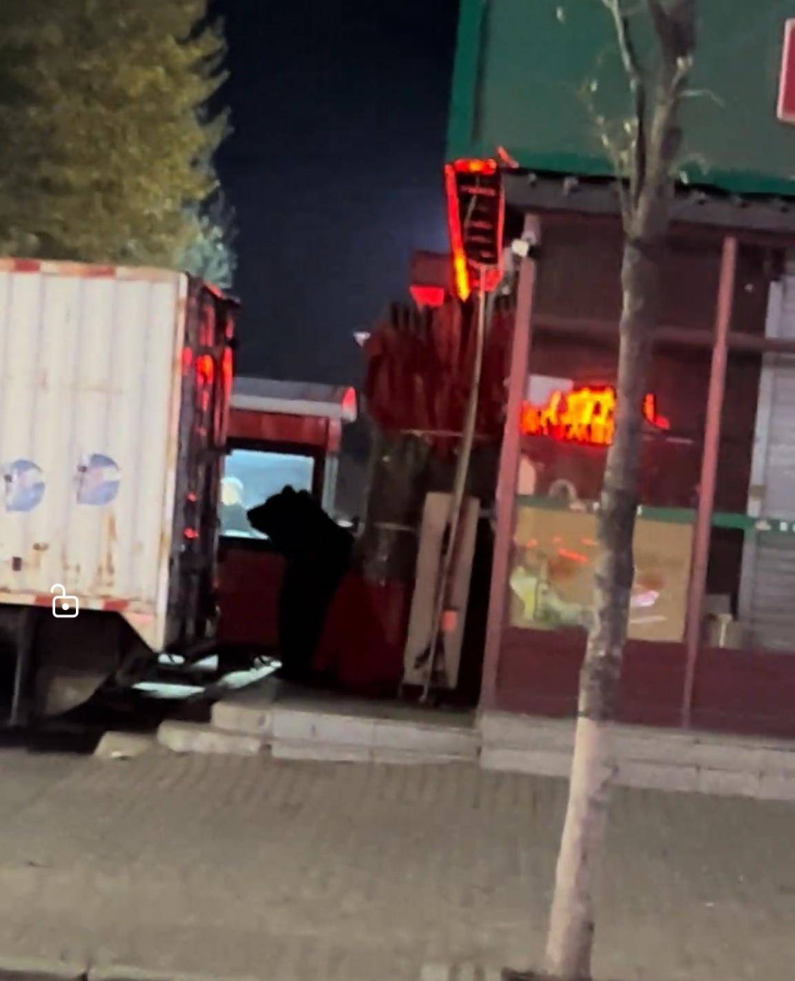 大黑熊夜里独闯黑龙江一县城闹市区<strong></p>
<p>东方雨虹股票</strong>，警方连开10多枪击毙，回应为何没用麻醉枪