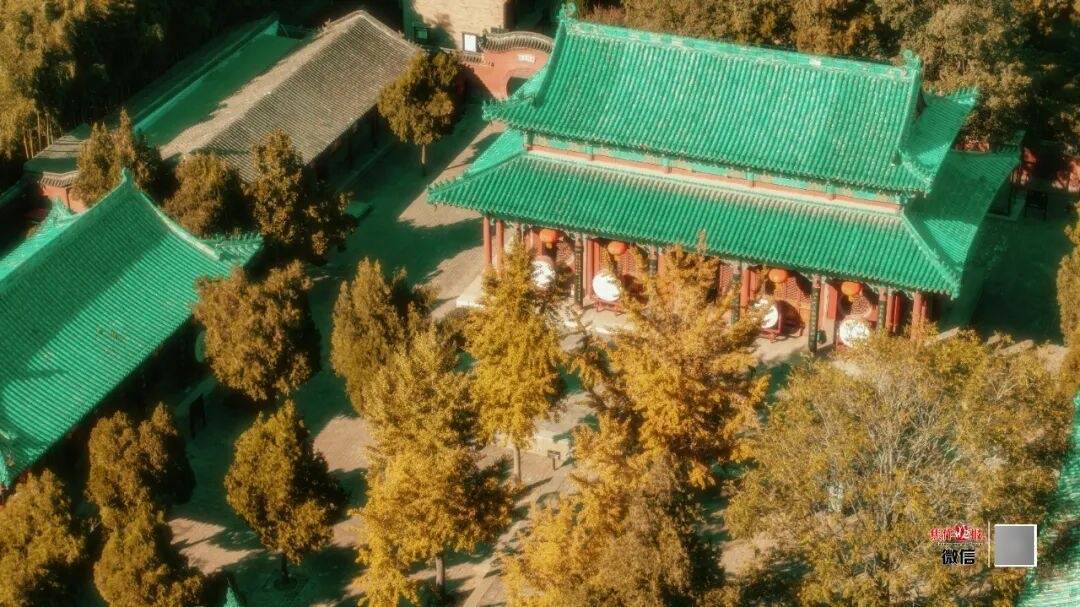 银杏金黄<strong></p>
<p>东方雨虹股票</strong>！铺满焦作的秋天！