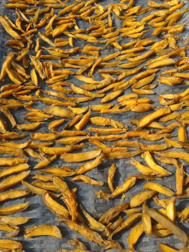 霜降至<strong></p>
<p>东方雨虹股票</strong>，气温会有反转吗？