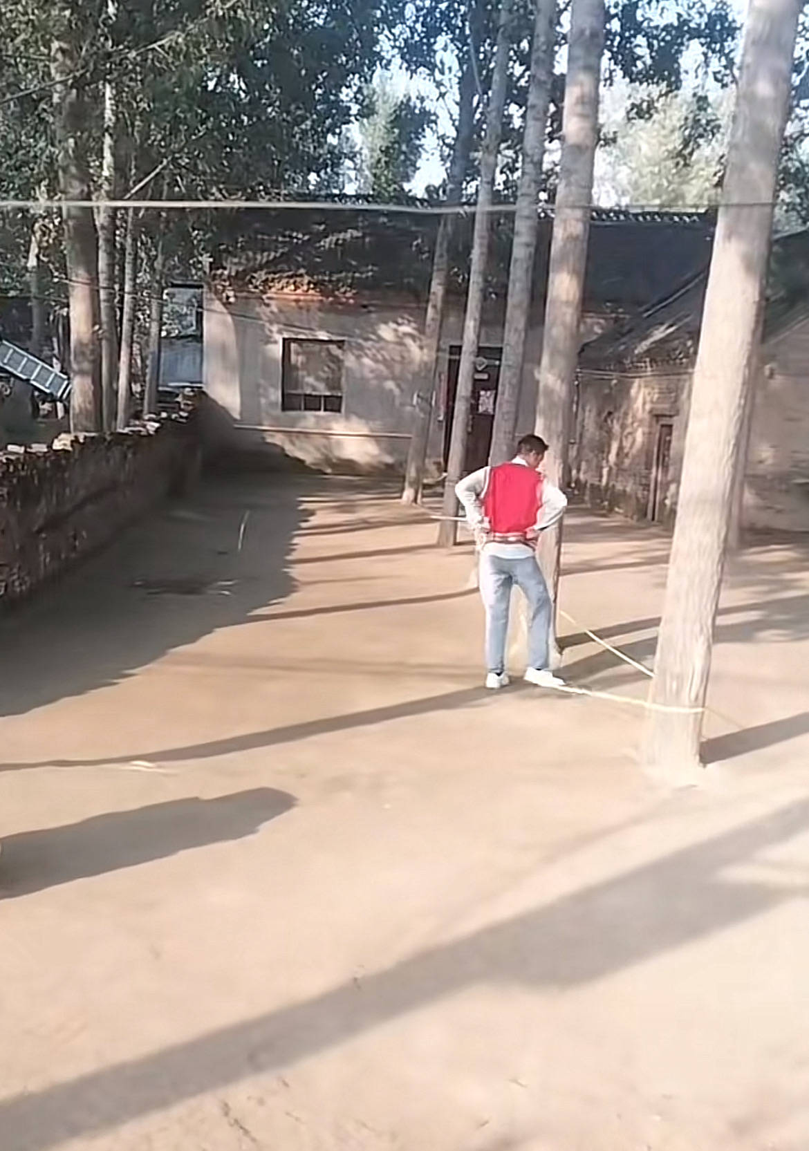 河南一大爷的院子因干净成网红打卡地<strong></p>
<p>股票在线看盘</strong>,网友:像极了小时候家的样子,想拖鞋光脚丫子走