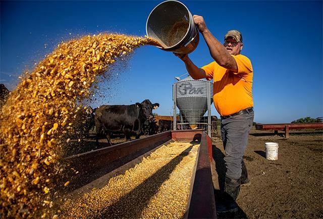 又输给了李成钢<strong></p>
<p>中国中车股票</strong>,贝森特承诺:美方不再考虑对华加征100%关税