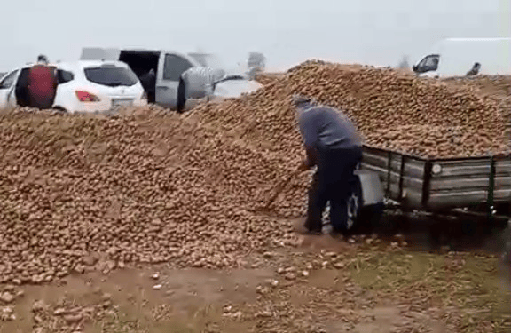 波兰68岁农民收获的150吨土豆被一夜搬空<strong></p>
<p>中国中车股票</strong>, 只因帖子遭篡改