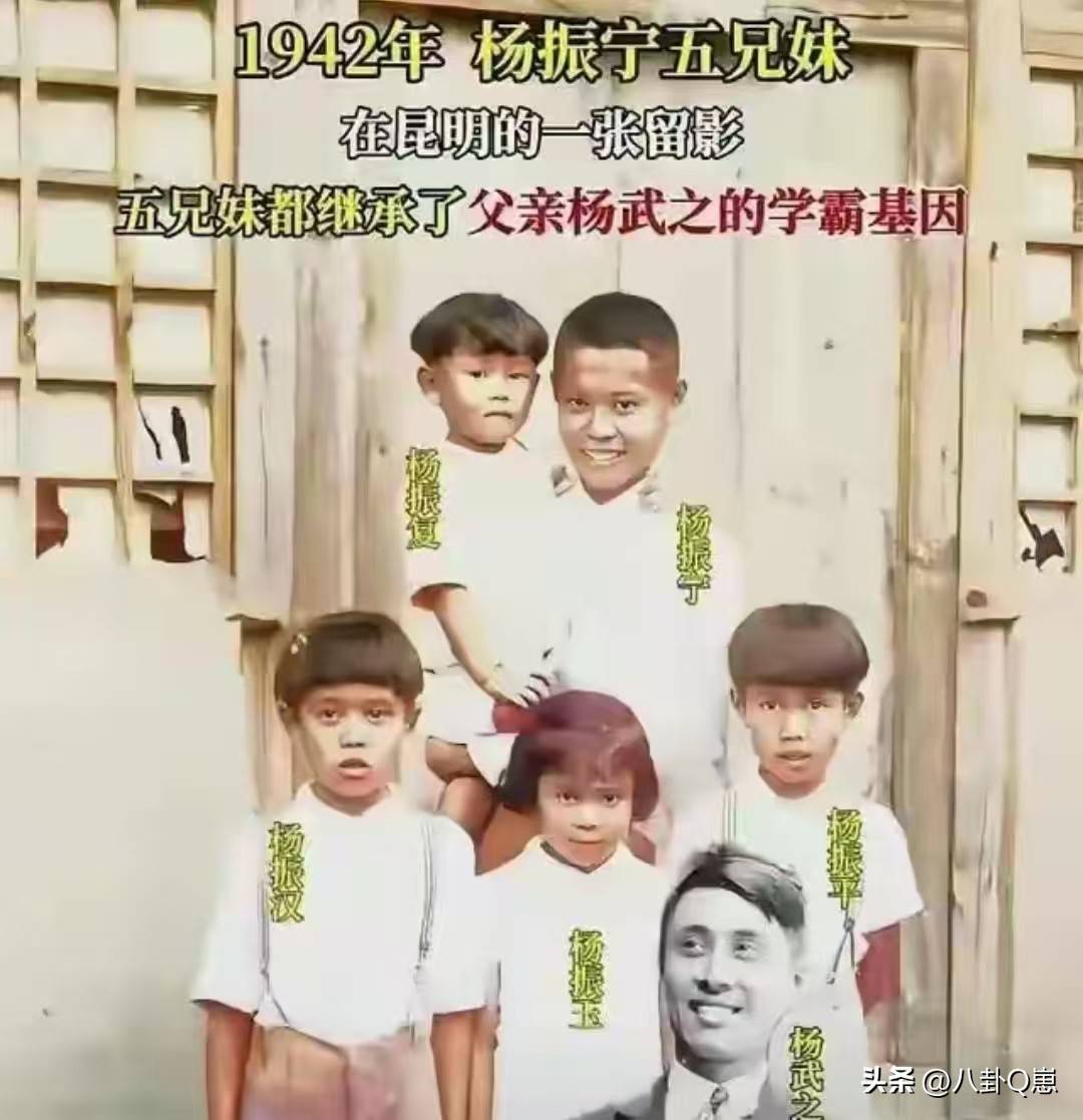 不查不知道<strong></p>
<p>恒生电子股票</strong>，一查吓一跳！杨振宁的弟弟杨振汉，人生活的这么精彩