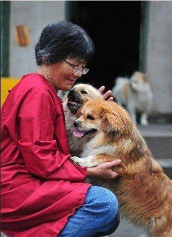 合肥卖房救助流浪狗的魏阿姨离世<strong></p>
<p>赣锋锂业股票</strong>,病中仍然惦记着基地的600只流浪狗,工人:不敢相信世上还有这样执着的人