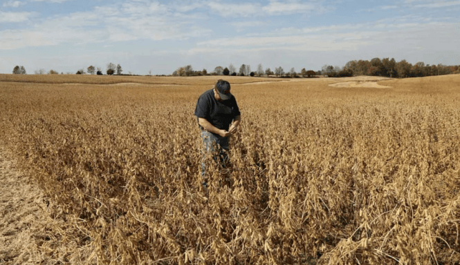 谈妥了又突然变卦!中国复购美国大豆换关税暂停<strong></p>
<p>中国中铁股票</strong>,美贸易代表直接通告全球:继续查中国