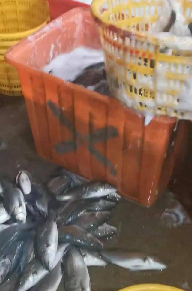 水产市场“麻醉鱼”调查：有商家称麻药有味会换水再卖，有无危害尚不明