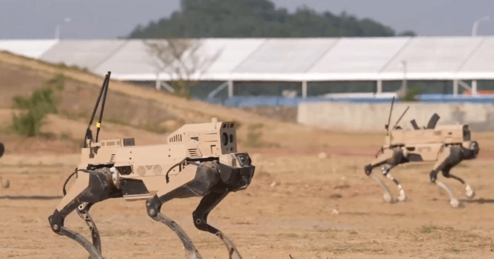 解放军“机器狼”投入台海<strong></p>
<p>海天味业股票</strong>，集群抢滩动作丝滑