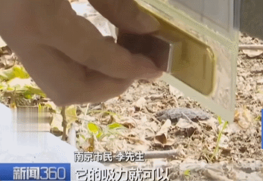 不是慢镜头！福建舰电磁弹射速度那么快<strong></p>
<p>今日股票</strong>，是怎么瞬间刹车的？