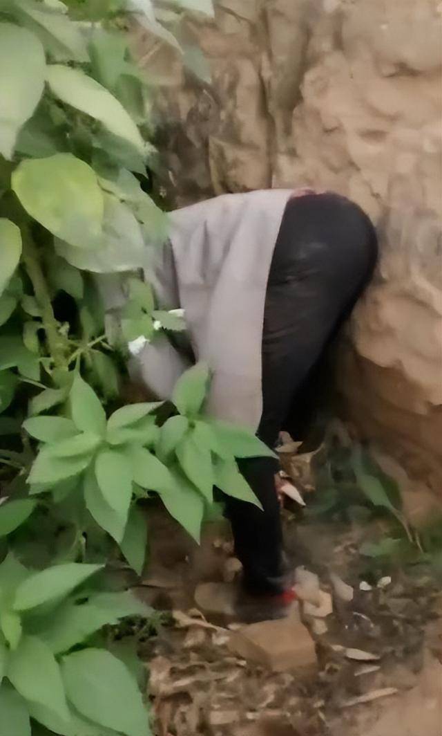 女子疑因拍亲姑姑偷玉米遭姑父棍杀<strong></p>
<p>高新兴股票</strong>,邻居欲报警也遇害