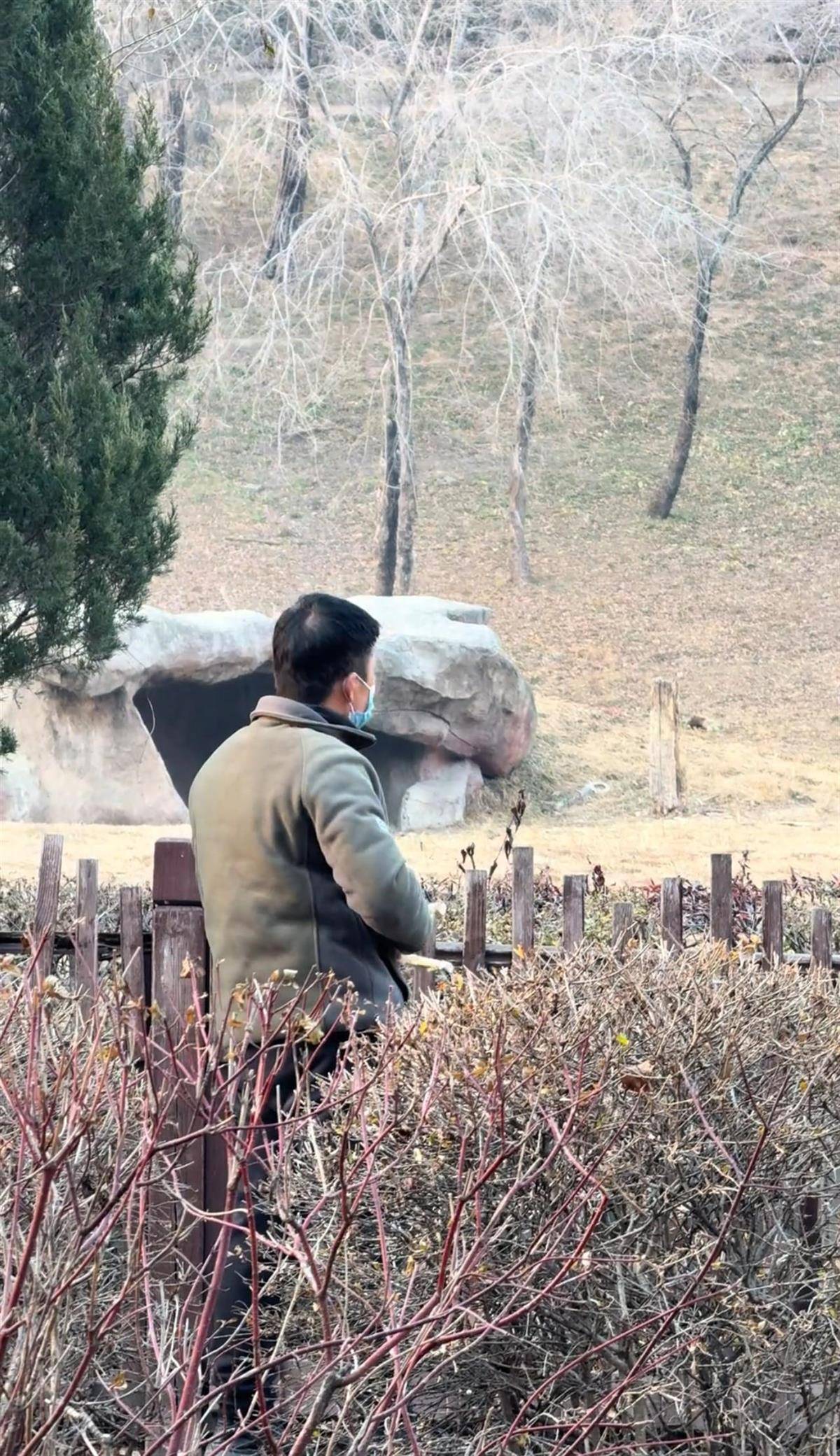 沈阳一男子动物园内用弹弓射老虎<strong></p>
<p>中公教育股票</strong>,目击者称其“填装了弹丸”,打完后老虎爬起来了,园方:正在核实情况