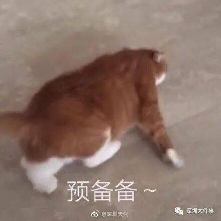 广东全省入秋了<strong></p>
<p>中国电信股票</strong>，冷空气最快今晚抵达广州