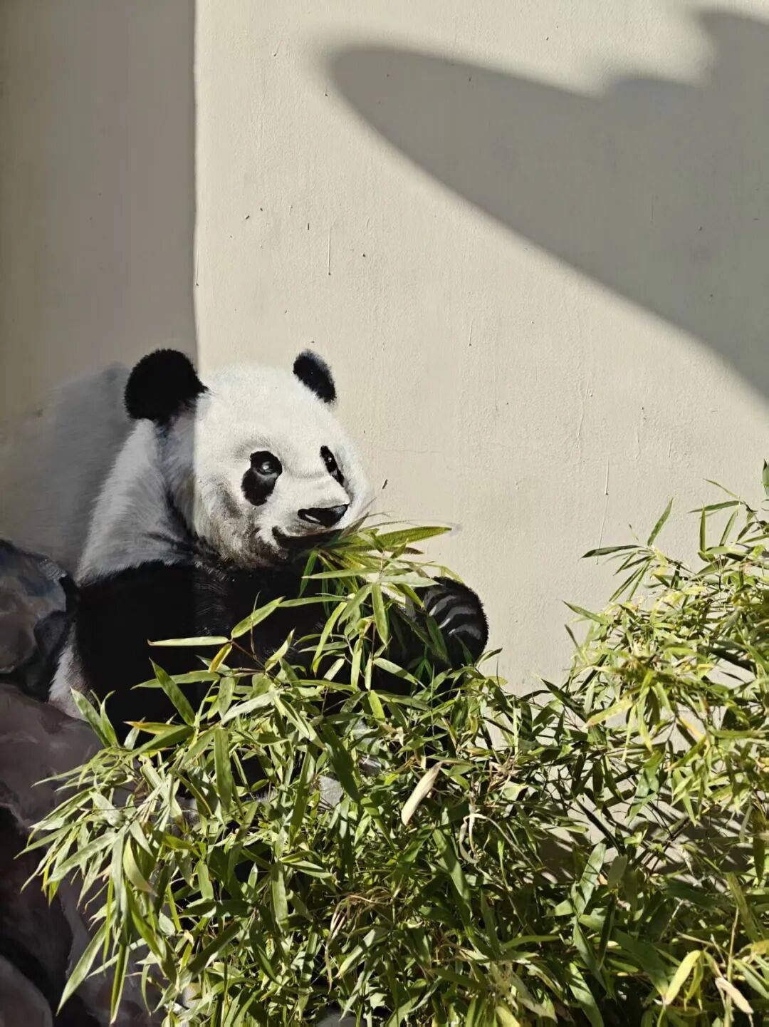 “颜值”出圈 天津和平区独山路这面彩绘墙“亮”<strong></p>
<p>中国电信股票</strong>了