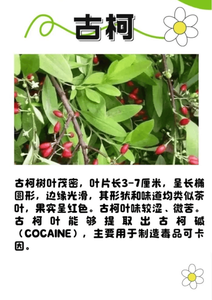 悬赏1500万美金!前奥运选手涉多起案件<strong></p>
<p>格林美股票</strong>,被列入十大通缉犯