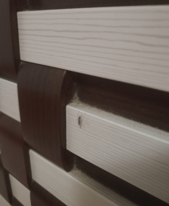 被吵得整宿睡不着<strong></p>
<p>格林美股票</strong>!大连女子:已经持续了近半个月