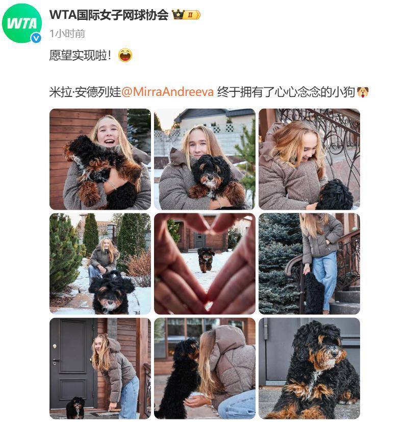“小米辣”终于有了自己的小狗!曾说养狗是赢球的动力<strong></p>
<p>同花顺炒股票</strong>,WTA官方发“贺信”:愿望实现啦!