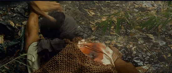 第一个扑向祁团长的印军黄种人面孔<strong></p>
<p>舍得股票</strong>，他到底是什么人？