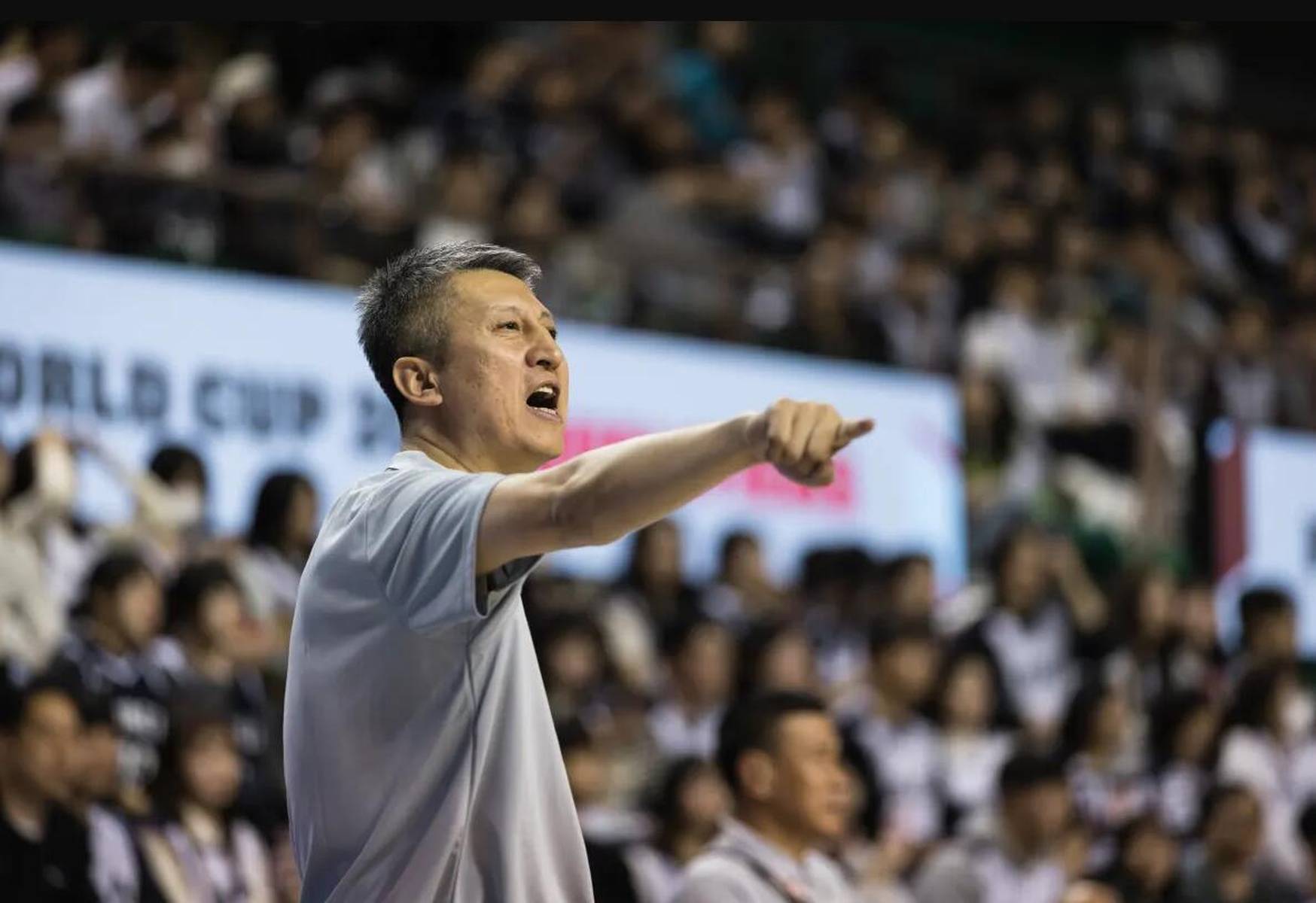 深度-没有优秀后卫支撑<strong></p>
<p>舍得股票</strong>，男篮变成了失去眼睛的猎鹰