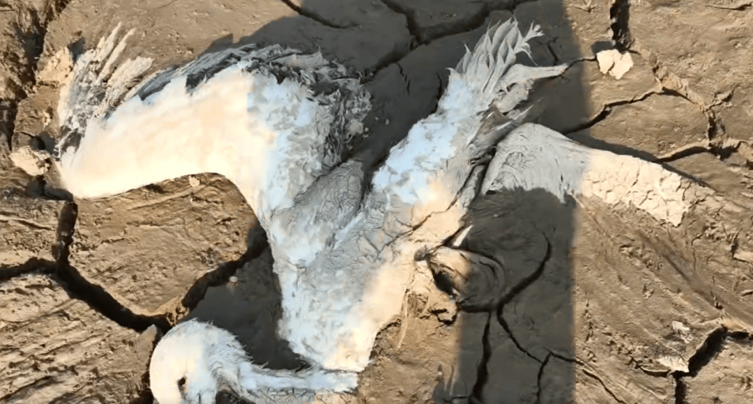 江西余干警方通报:3人疑似在鄱阳湖湿地毒害野生动物<strong></p>
<p>第一创业股票</strong>,已采取刑事强制措施