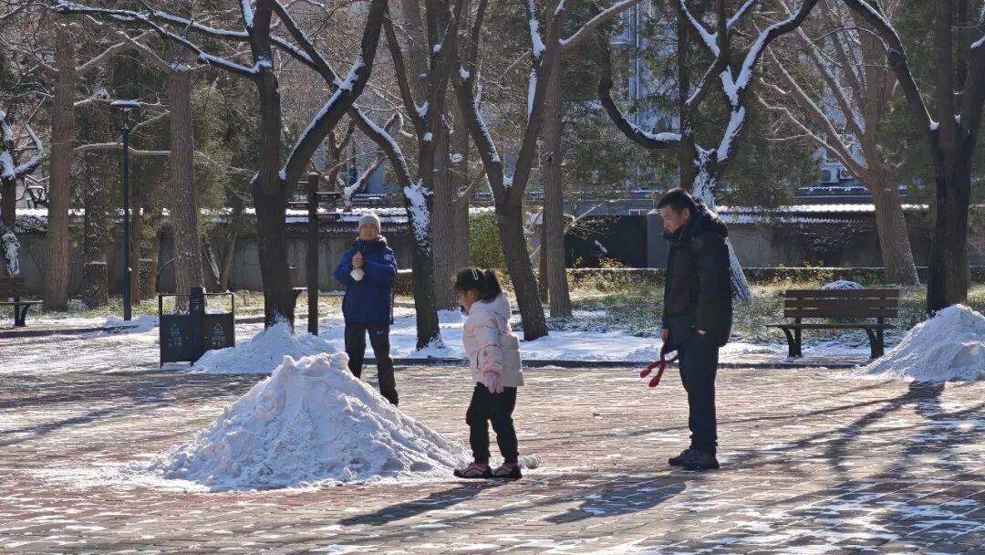 北京绿化带里用了二十年的板子<strong></p>
<p>三六零股票</strong>,今冬“下岗”了——