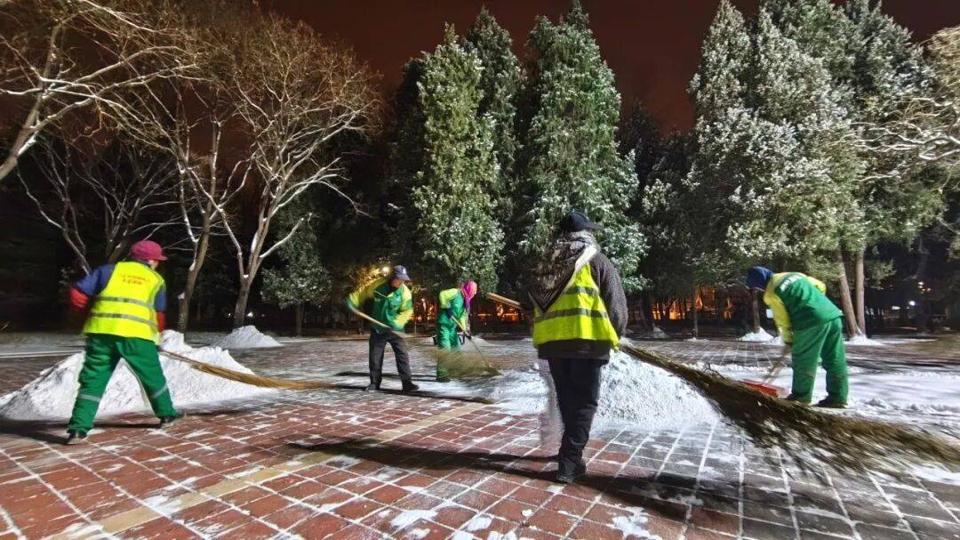 北京绿化带里用了二十年的板子<strong></p>
<p>三六零股票</strong>,今冬“下岗”了——