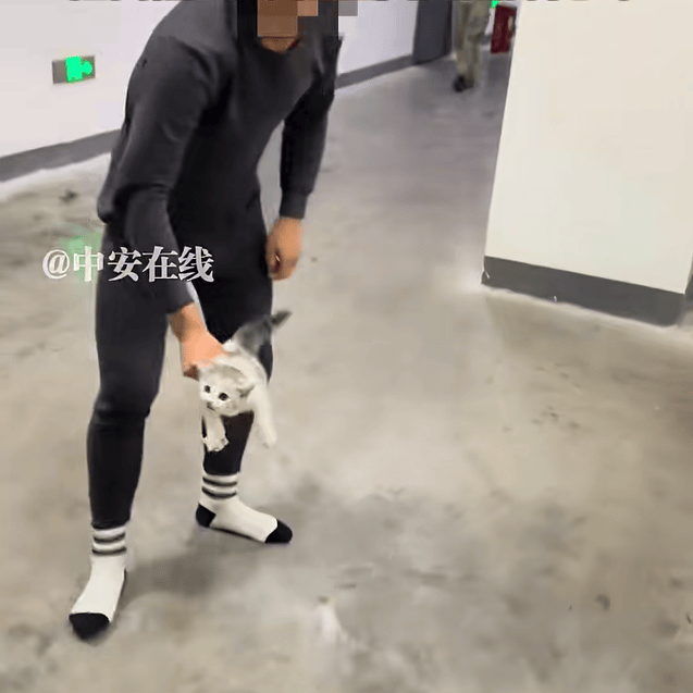 湖南湘西一高校学生带猫进入宿舍<strong></p>
<p>上海电气股票股吧</strong>,被查寝教官发现后活活摔死!当地教体局:正在调查核实,如果情况属实会立即处理