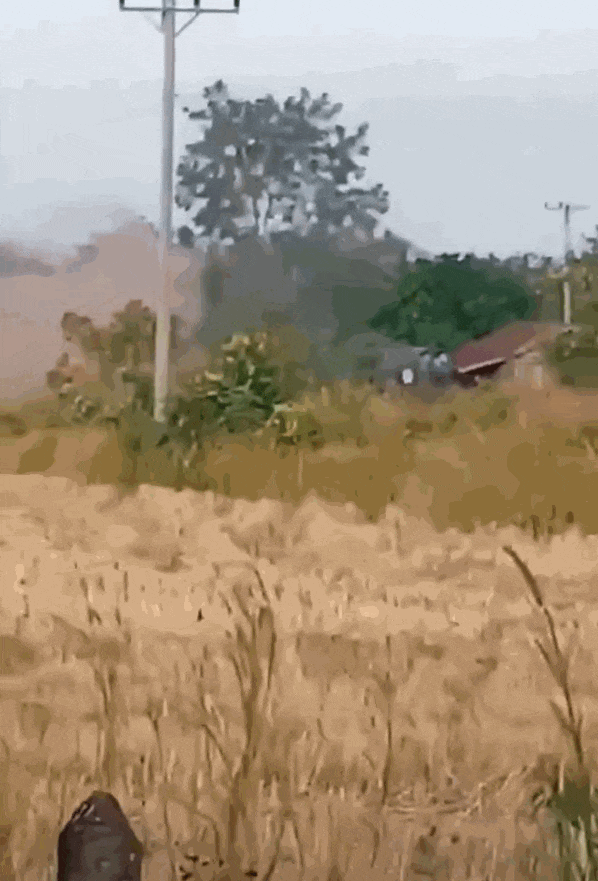 柬埔寨出动PHL-03型300毫米远火<strong></p>
<p>海南航空股票</strong>,3发火箭弹准确命中泰军据点?