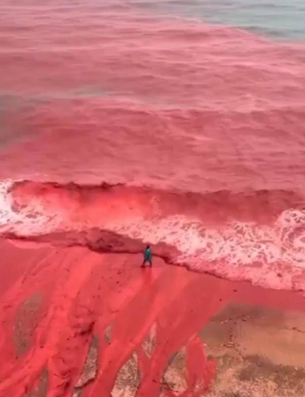 罕见！伊朗霍尔木兹岛遭遇强降雨<strong></p>
<p>四川九洲股票</strong>，部分海域变成“血色海洋”