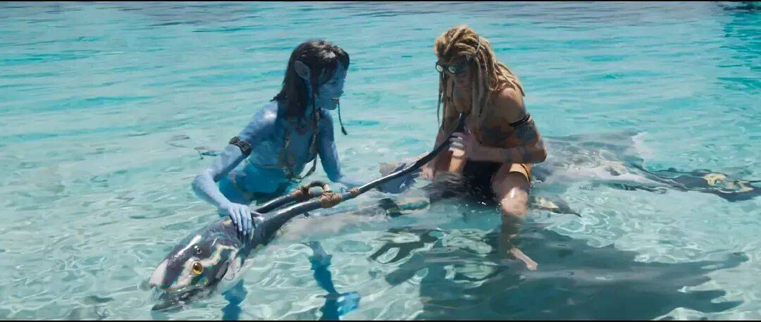 仿佛又看了一遍《阿凡达2》…票房口碑不及前作的《阿凡达3》真审美疲劳了吗<strong></p>
<p>阿里股票</strong>？