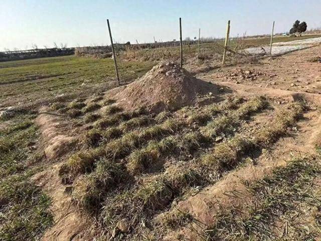 “三姐妹给父亲上坟被炸身亡案”家属最新发声:直播时2次遭死亡威胁<strong></p>
<p>成都路桥股票</strong>,“请帮我保住最后一个妹妹”;警方已立案侦查