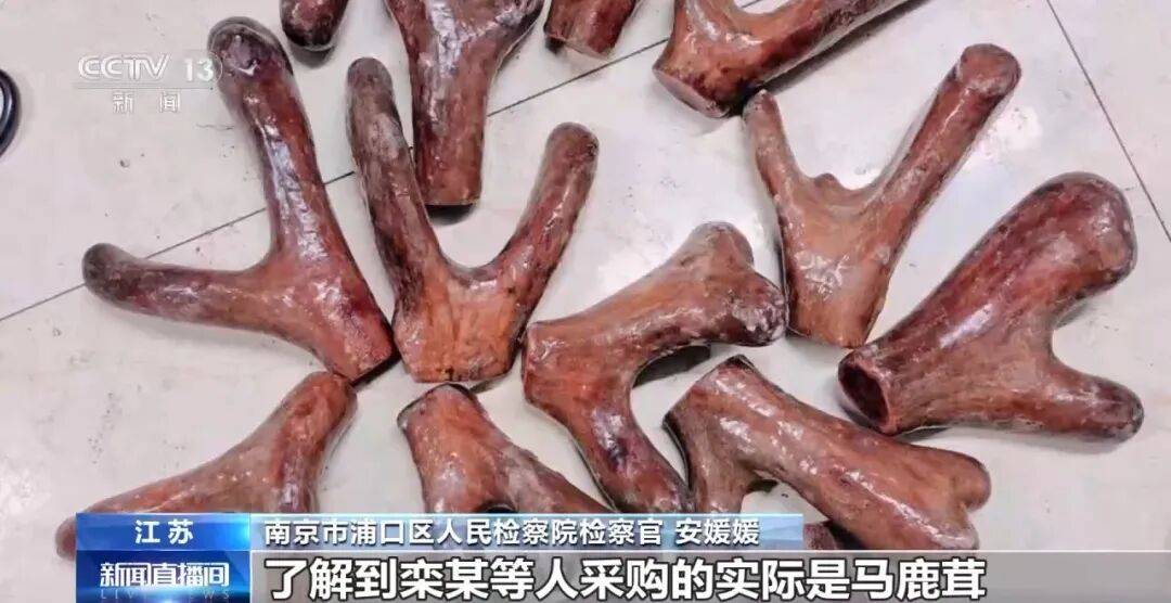 老人不买天价鹿茸被一脚踹翻<strong></p>
<p>葫芦娃股票</strong>,南京一团伙暴力威逼老人买单,100多人被骗,涉案金额90余万元,多数老人乖乖回家拿钱,甚至被逼去银行取款