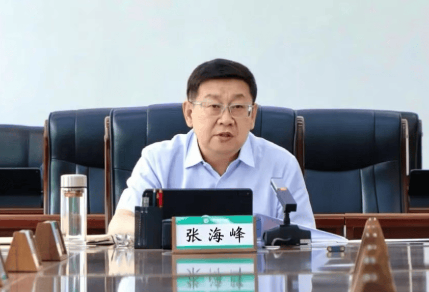 涉嫌严重违纪违法<strong></p>
<p>海南发展股票</strong>，张海峰被查
